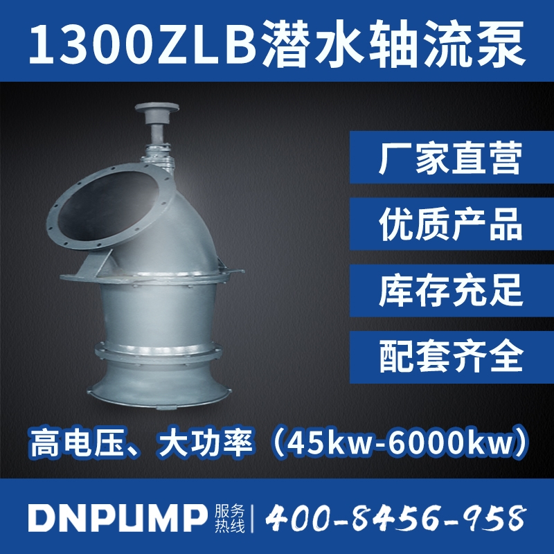 开云体育手机版网页入口1300ZLB潜水轴流泵